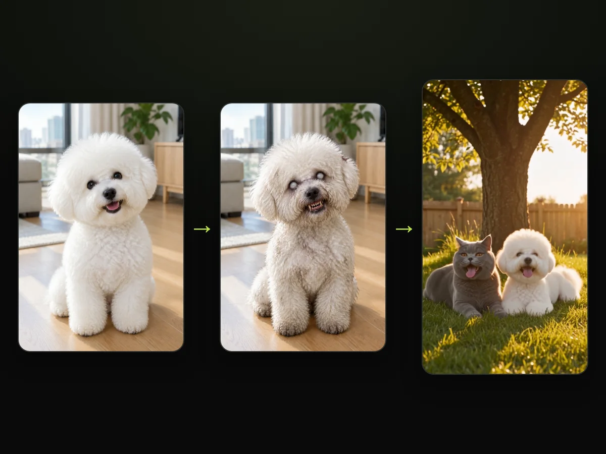 A Bichon Frise photo, its zombie version and the same dog healthy in a sunny backyard, from a zombie pet video made on Seadanse