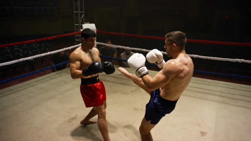 The Seedance 2.5 take returned for run ed811a27, including the front kick at about 4.75 seconds