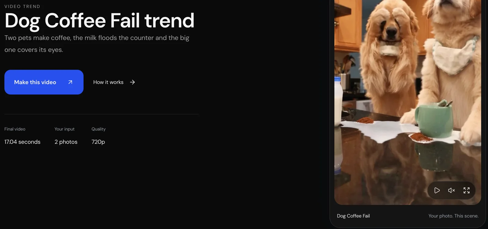 Oakgen Dog Coffee Fail trend page: 17.04 seconds, 2 photos, 720p, with the Make this video button