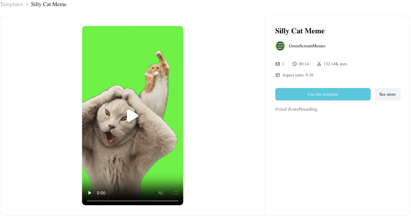 The Silly Cat Meme Smalltown Boy CapCut template page on capcut.com, showing 132.14K uses and the Use this template button