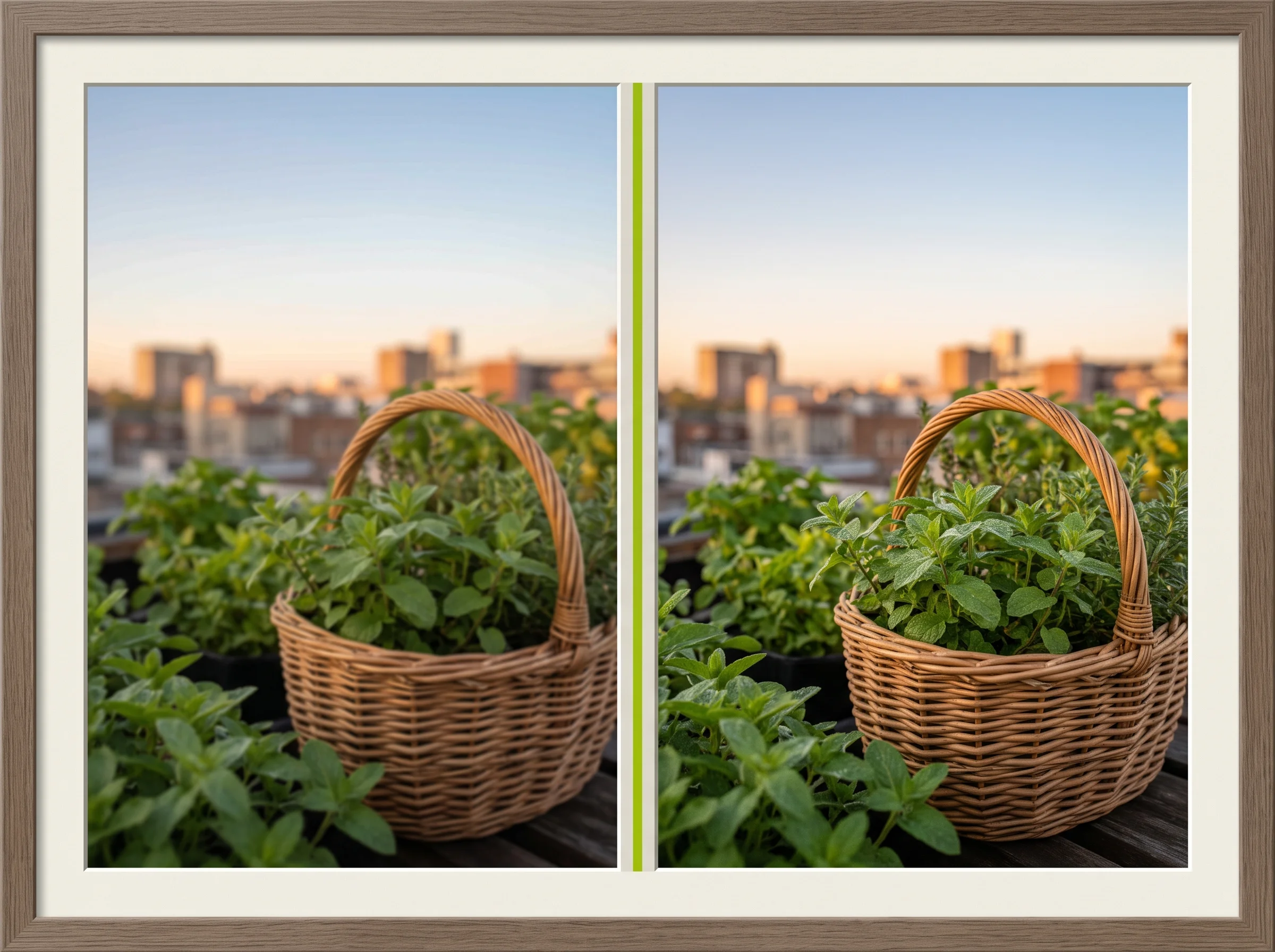 Turn Still Photos Into Moving Scenes Fast